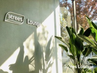 艺术赞美生活，三棵树Lounge惊艳西岸博览会