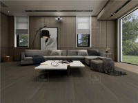 大卫地板栎木丨在家就能感受自然风情