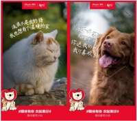 杭州德佑携手贝壳找房打造“暖冬计划”捐旧衣为流浪动物做暖垫