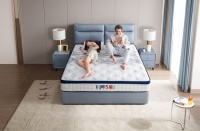 芝华仕5星床垫携手红星美凯龙全国招商圆满成功