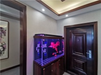 【领绣·菁华】实景|中式之美 传承千年 实景再现东方雅韵