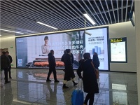 把食欲变成食愈！海尔冷柜细胞级冷冻科技五城开启鲜味巡展