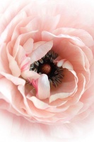 在车库诞生的空气净化器世家，如何重新定义生活