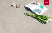 长在水瓶座审美上的好地板，圣象康逸风信子橡木怎么搭配都很美