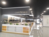 造势而为，借势而起!科王电器斥千万巨资造势，携手筑梦迎未来!