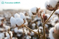 和谐共生 全棉时代溯源棉与人