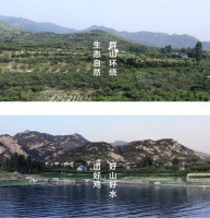 好猫粮原材选择是关键，哈乐豆林地鸡猫粮