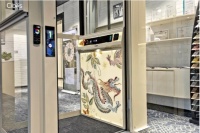 家用电梯定制国风元素设计 融合家居时尚单品