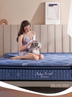 2021年高端床垫保姆级选购指南：美国西屋S3、席梦思、舒达