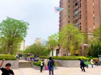 世茂服务天津生态城 这场社区风筝节火了！