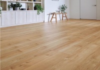 骊住FA系列地板全新上市！