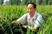 袁老医生透露，袁老怎么突然走了？