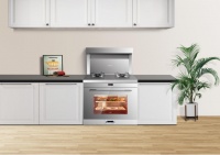 集成灶什么牌子好？