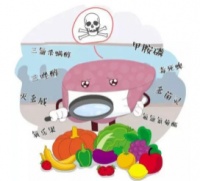 为什么要购买食材净化机？食材净化机哪个牌子好？