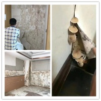 天气开启“焖蒸”模式，克洛斯威壁材拯救我的睡眠！