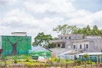 魅力扶绥【乡村振兴】拆旧复垦，美化家园，就要这样干！