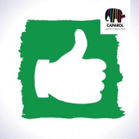 共筑质量信誉，德爱威获喜获产品质量和企业信誉五项荣誉