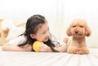 在家养宠也能不烦恼？东芝X9多重硬核洗护手段让你放肆和萌宠亲密接触