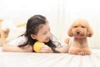 不要让萌宠成为甜蜜负担！东芝X9帮你解决养宠的那些烦心事