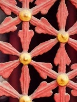 京熹家居：将故宫美学融入家具