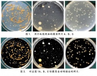 谨防空调综合症 加护灵成居家必备健康产品