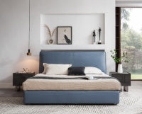 总有一款适合你！爱依瑞斯智+皮床款式