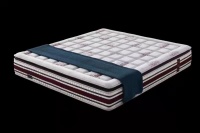 银雪儿床垫 科技创新灌注温馨，托起最美的梦