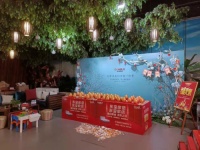 国庆刮起“家居热”，东宝床垫寝具热销