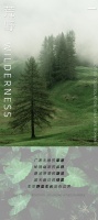 【领绣·菁华】STYLE TAGES——荒野 WILDERNESS