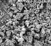 氧化锆球是什么？它有哪些种类？