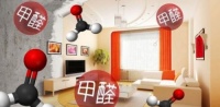 分享6种科学有效除甲醛方法，让你安心住新家