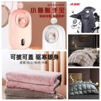 “全能型”冷空气来袭 浴霸、电热毛巾架、即热马桶等成冬日新爆款