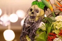 万圣节来“鬼”混吧！方隅公寓玩转搞怪乐活