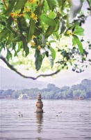 家人们，中冶和璟公寓酒店双11优惠已经安排上，杭州秋游必住！