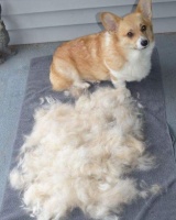 地面头发吸吸吸，EyeVac帮你解放双手！