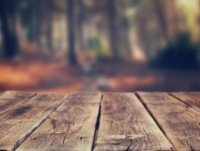 “Madeira de Lei”应用程序将用于防范木材非法贸易