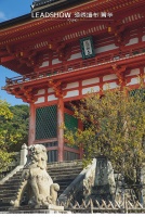 【领绣·菁华】国风刺绣丨品味中式匠心神韵