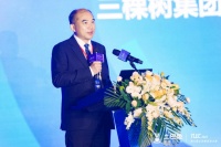 三棵树洪杰：文化驱动创新 谋求高质量发展