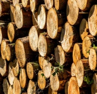 加拿大对出口至美国软木被征两倍关税发起申诉