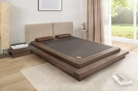 可喜安：免疫低下者如何提高免疫力？