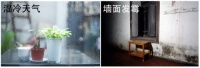 湿冷天气墙面发霉，看美涂士艺术漆帮你解决！