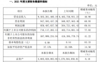 兔宝宝2021年营收95.03亿元 装饰材料业务贡献超7成