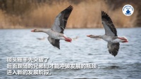 2022家装深度观察NO.11：武汉家装市场的竞争格局