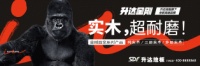 视线丨地板实力派，升达金刚全面上市