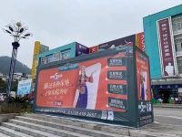 视线丨和鸣区域文化，红星美凯龙在营销通路上的新尝试
