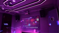 家庭影院和卡拉OK能不能共用一套系统?