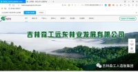 快讯 | 露水河刨花板官方新网站4月12日正式上线
