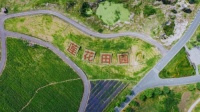 华侨城北方集团 | 推动绿色转型，争做“双碳”路上先行者