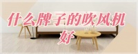 想买高端国产吹风机，有没有推荐的产品？
