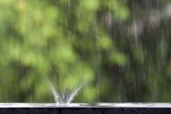 紧急通知，“梅雨季”要来啦！